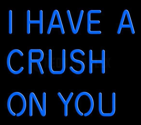 Custom I have a Crush On You Neon Sign Tube Neon Light